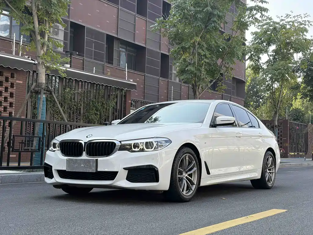 BMW 5 Series (Import)