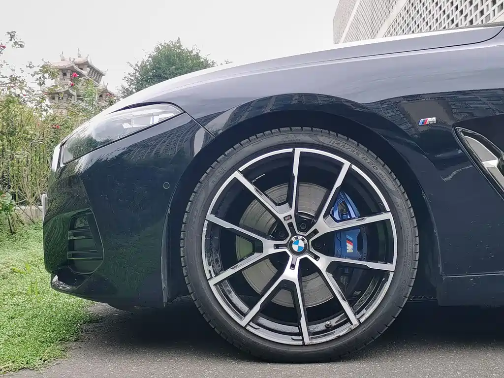 BMW 8 Series — миниатюра 9