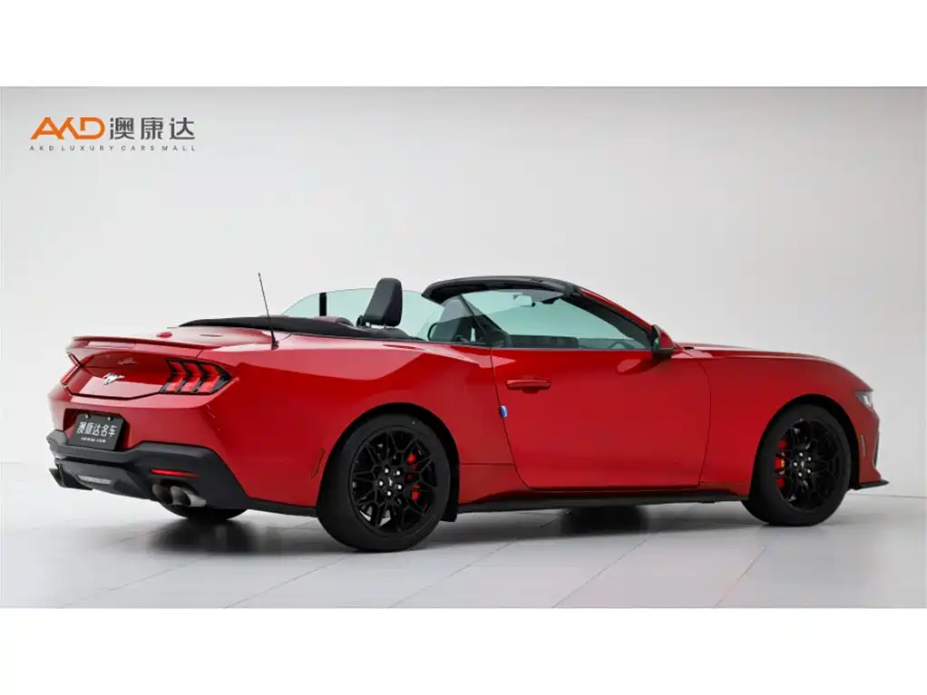 Ford Mustang — миниатюра 3