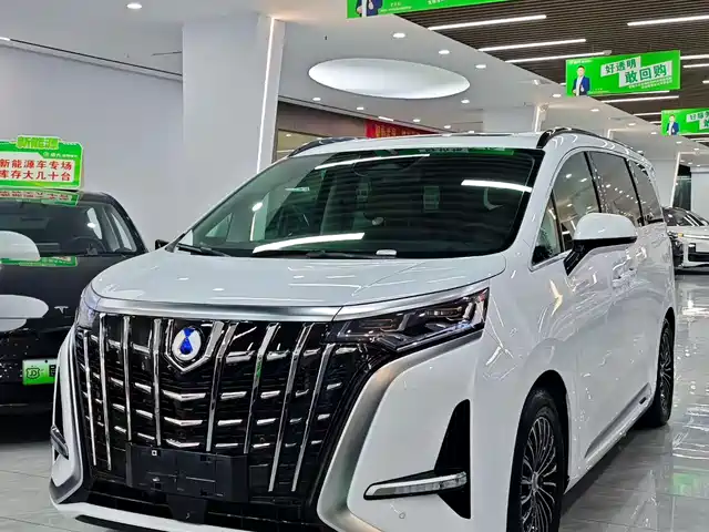 2024 Denza D9