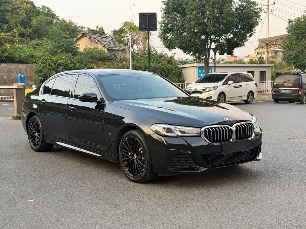 BMW 5 Series — миниатюра 3
