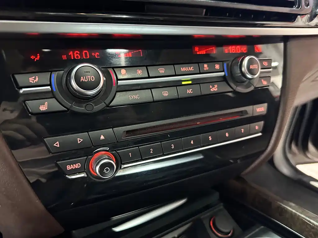 BMW X5 (Import) — миниатюра 10