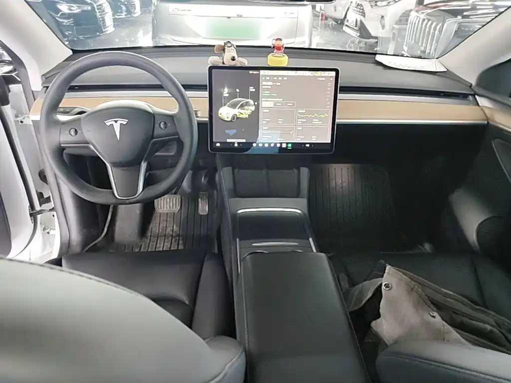 Tesla Model Y — миниатюра 10