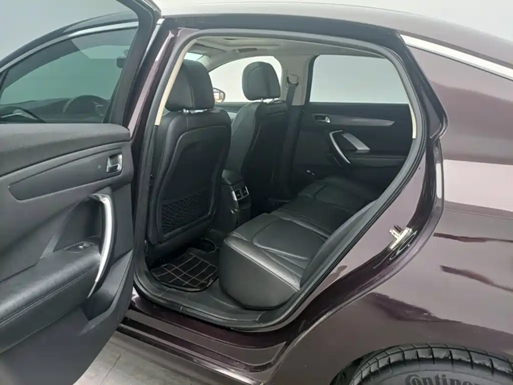 DS DS 5LS — миниатюра 8