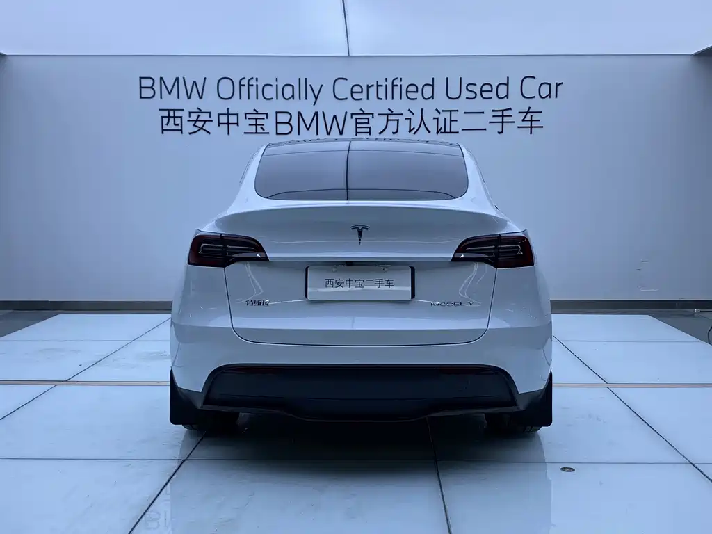 Tesla Model Y — миниатюра 4