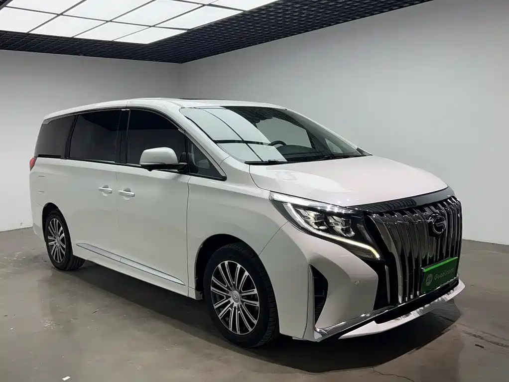 GAC Trumpchi M8 2021 — фото 23