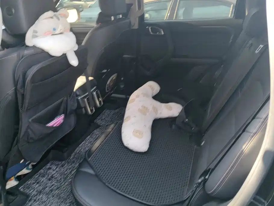 Haval Big Dog — миниатюра 11