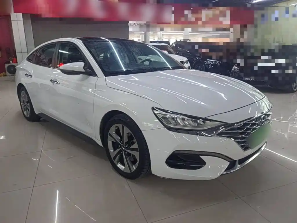 Hyundai Fista — миниатюра 4