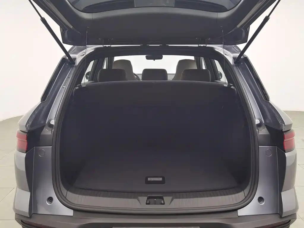 BYD Pro New Energy — миниатюра 16