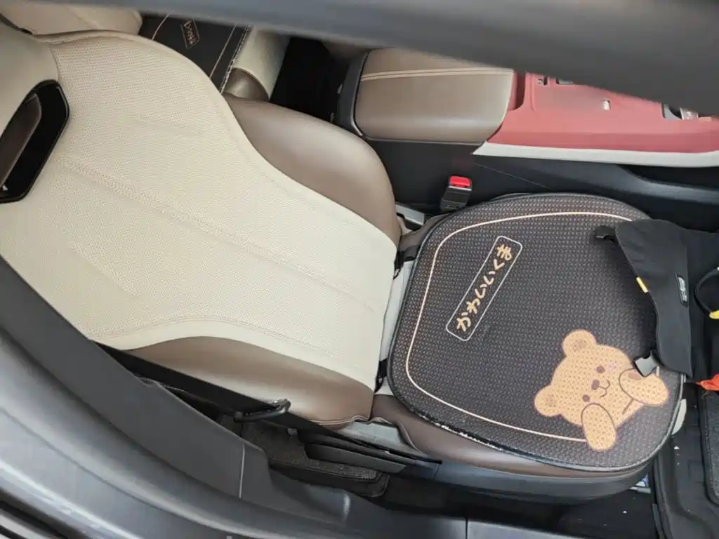 BYD Qin PLUS — миниатюра 25
