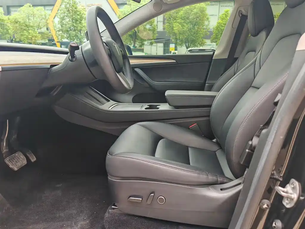 Tesla Model Y — миниатюра 4