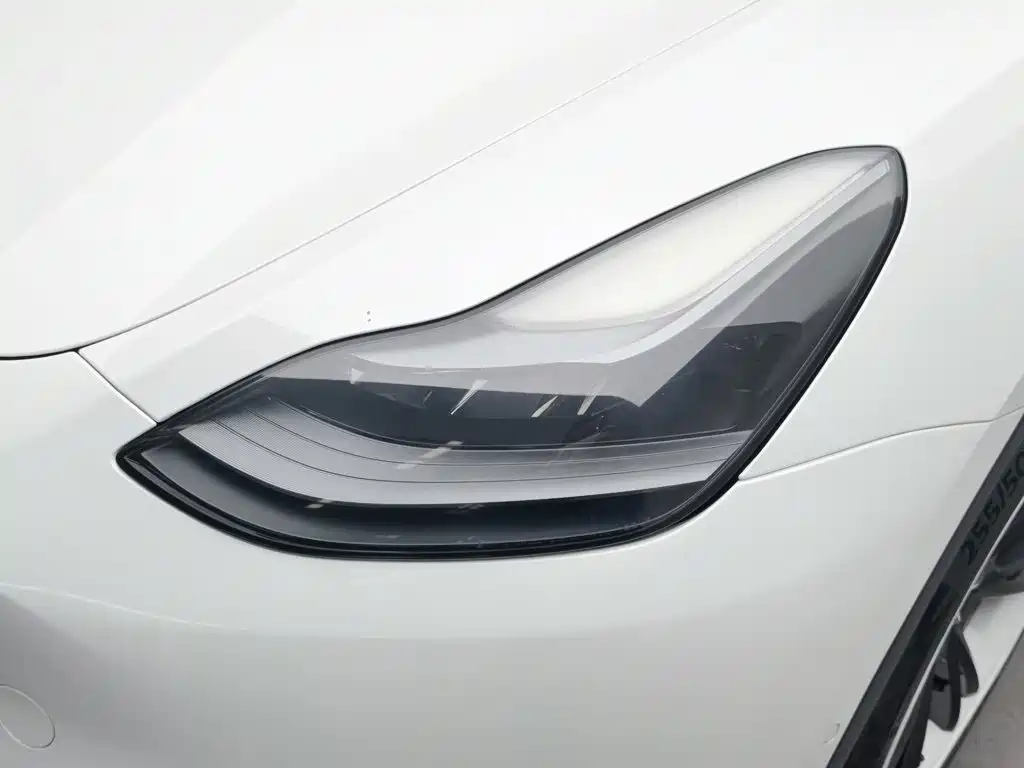 Tesla Model Y — миниатюра 7