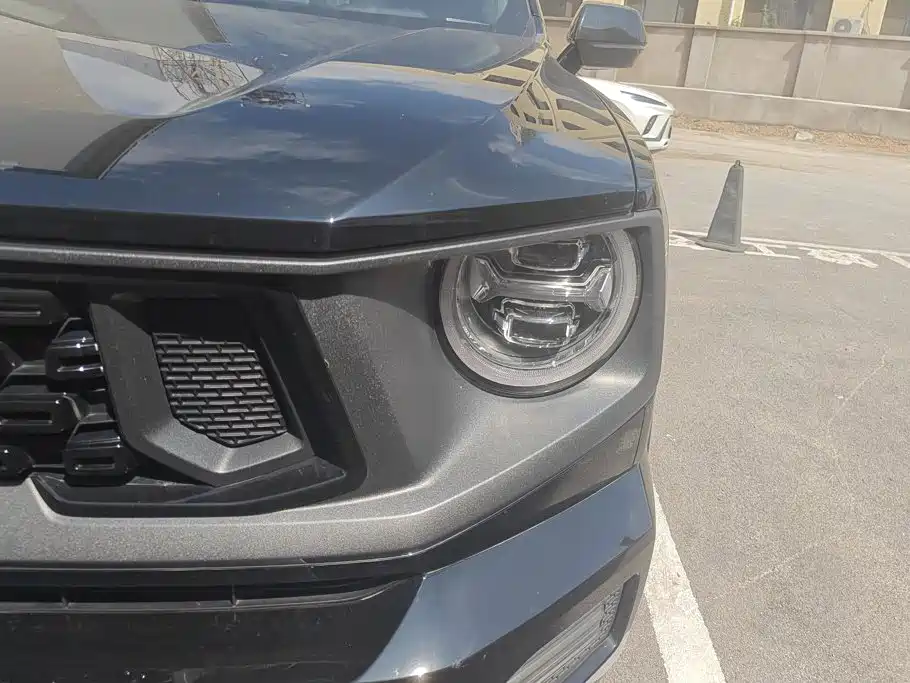 Haval Big Dog PLUS — миниатюра 5