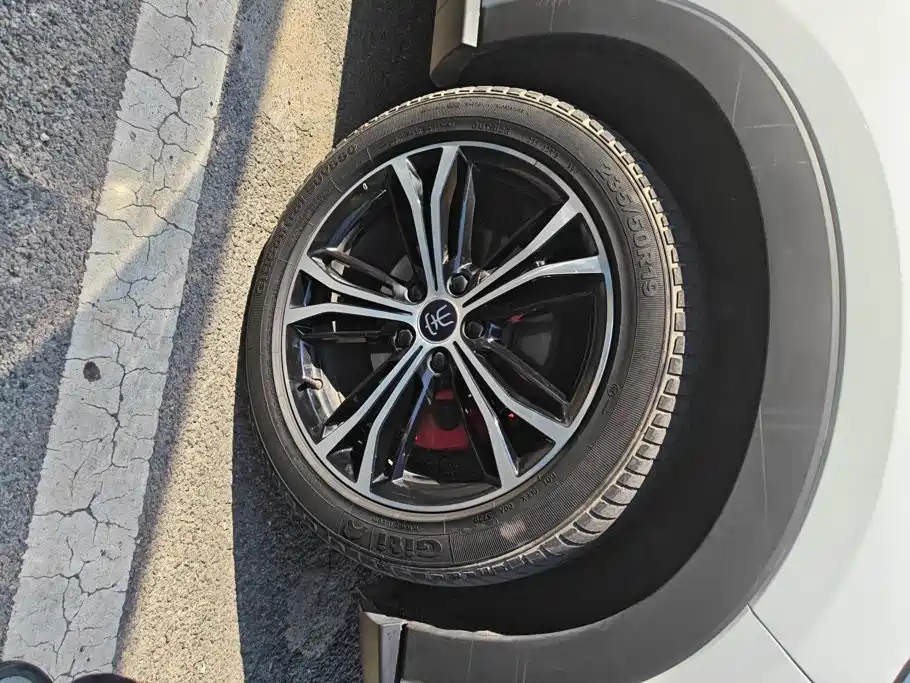 BYD PLUS — миниатюра 6