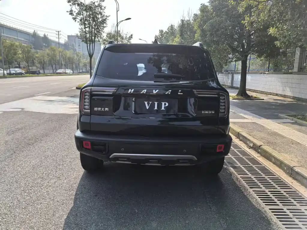 Haval Big Dog — миниатюра 11