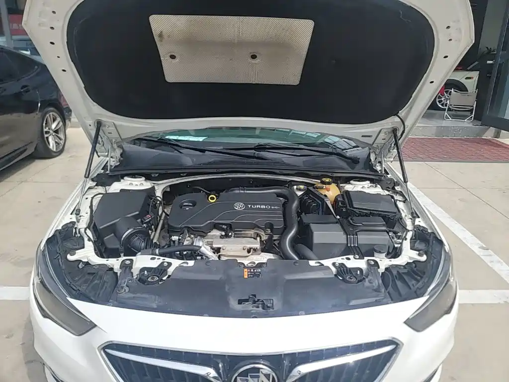 Buick Regal — миниатюра 20