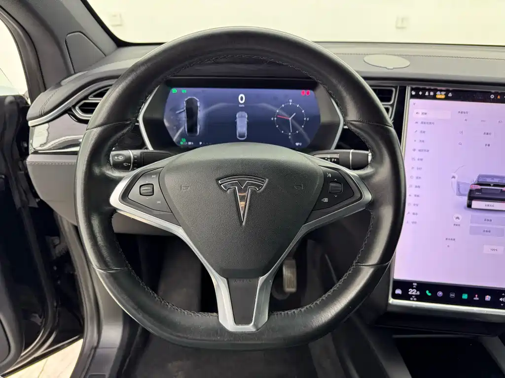 Tesla Model X — миниатюра 11