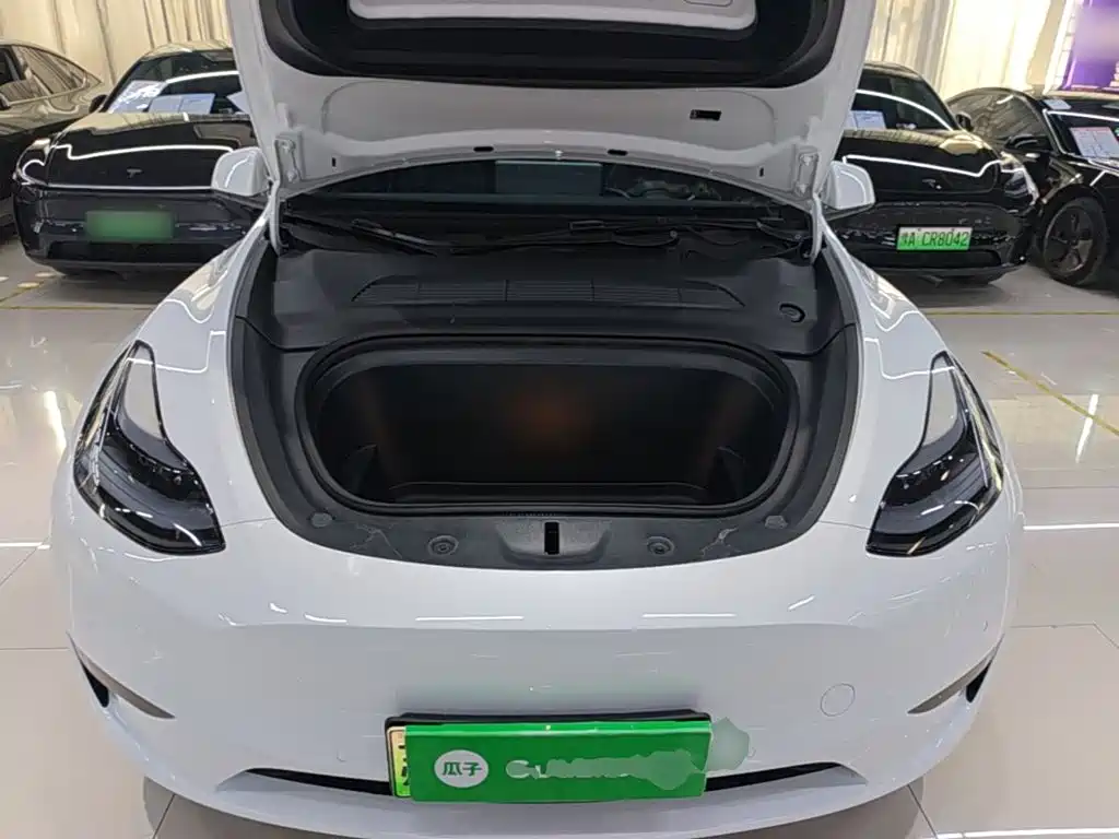Tesla Model Y — миниатюра 19