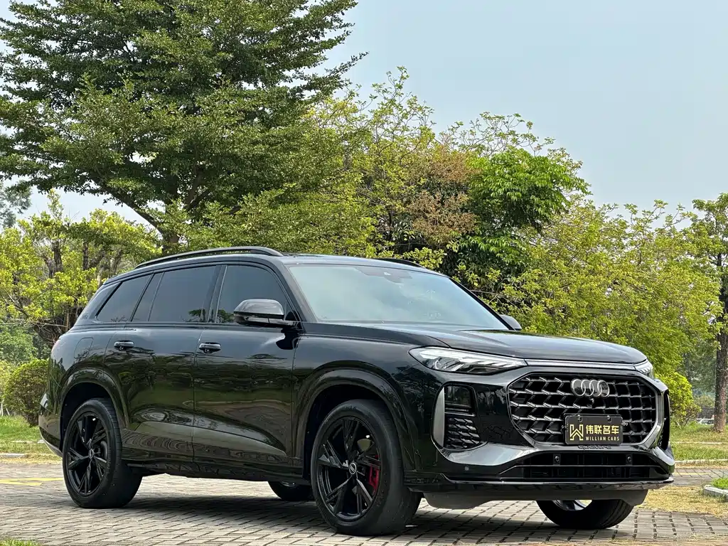 Audi Q6 — миниатюра 3