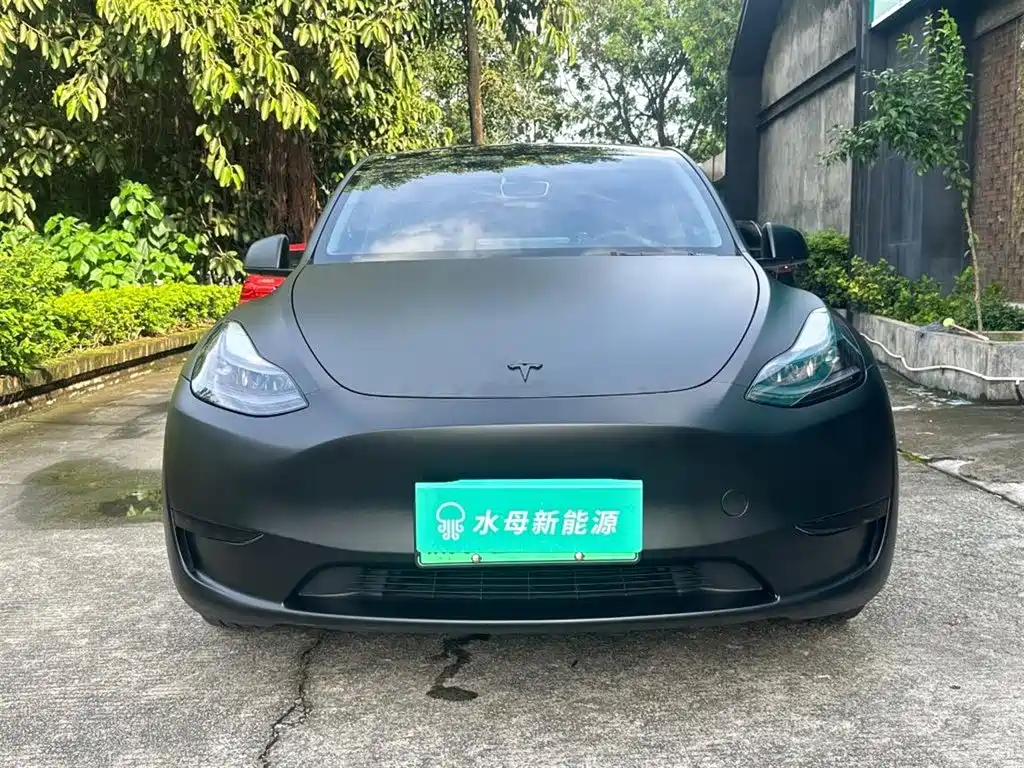 Tesla Model Y — миниатюра 2