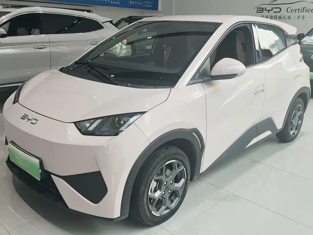 BYD Seagull