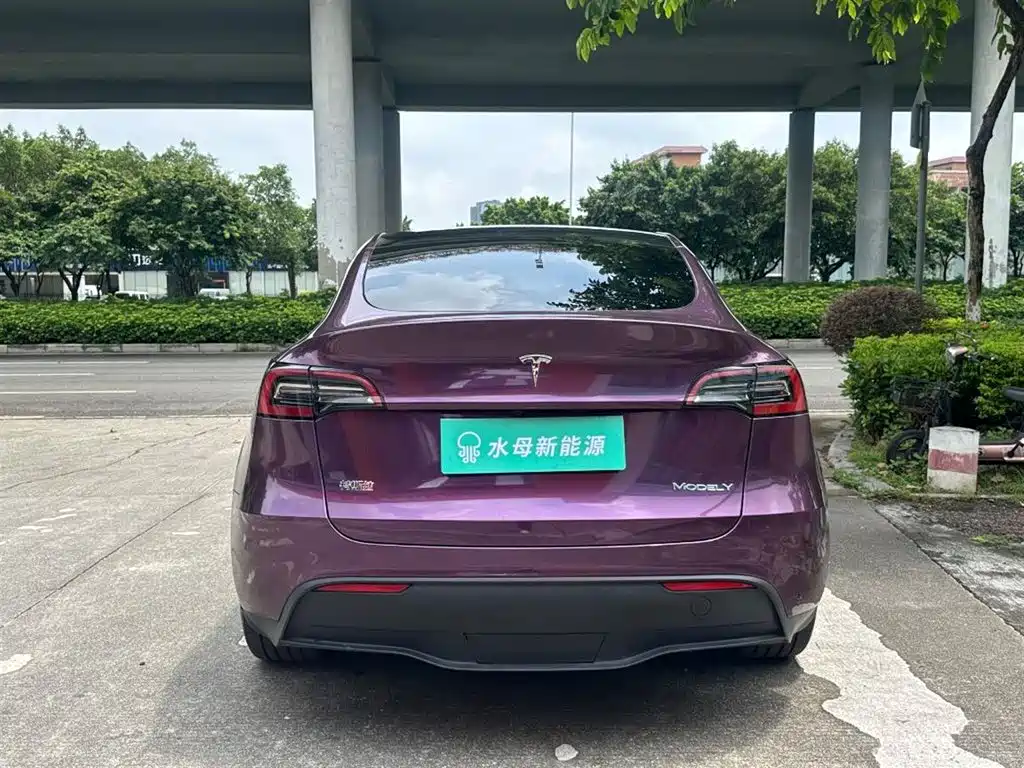 Tesla Model Y — миниатюра 7