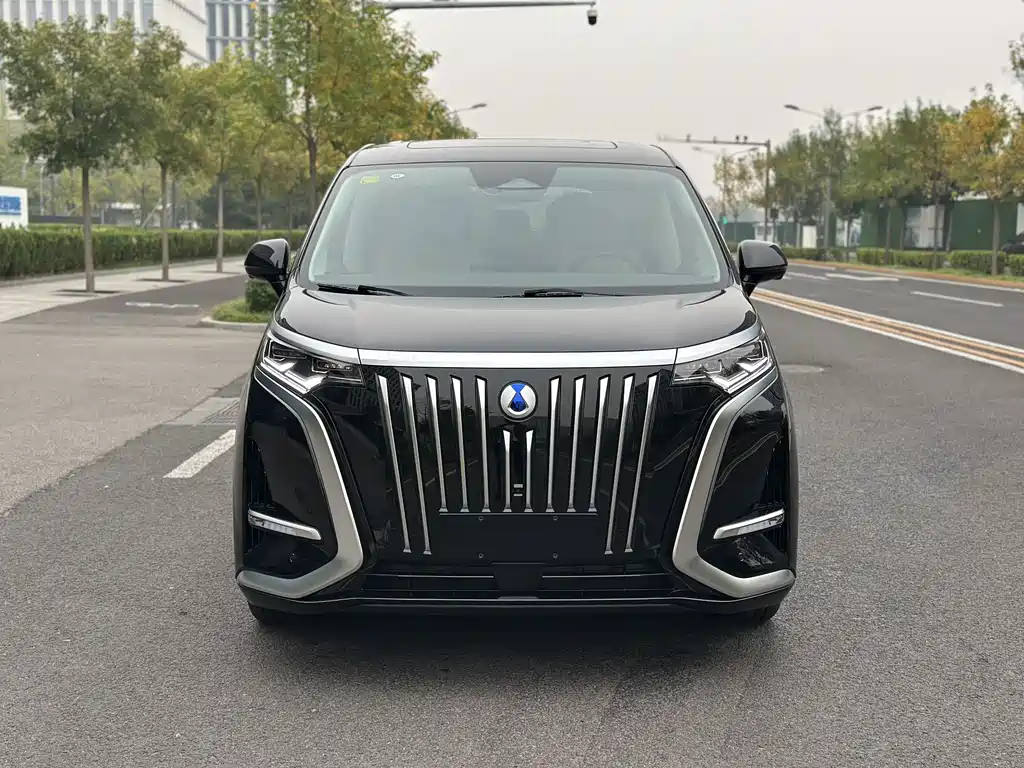 Denza Denza D9 — миниатюра 2