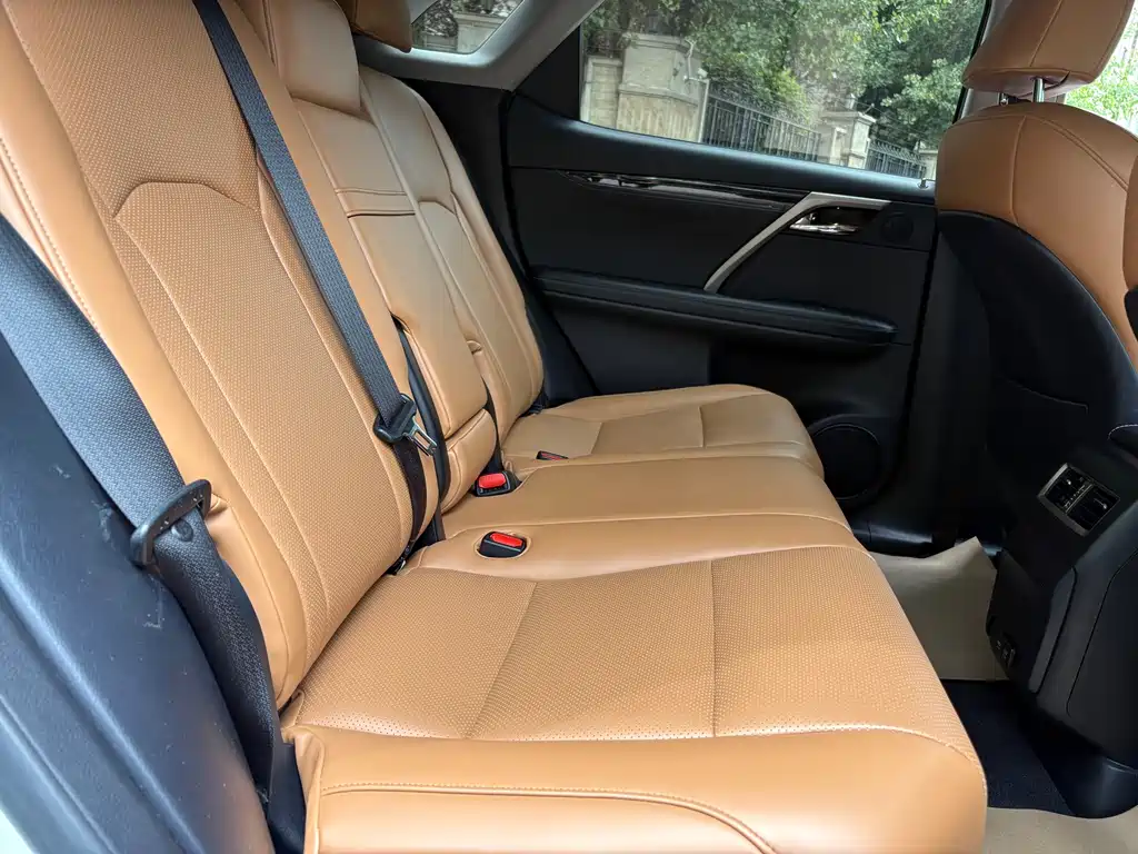 Lexus RX 2020 300 Elite VI