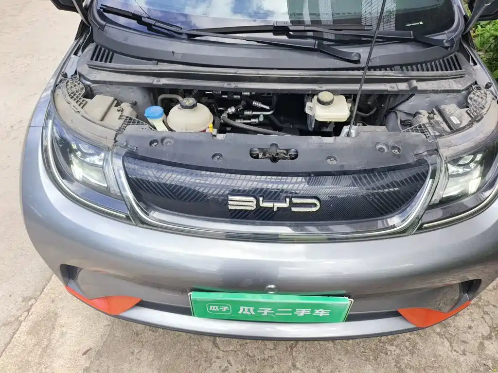 BYD Dolphin — миниатюра 16