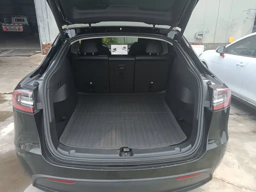 Tesla Model Y — миниатюра 19