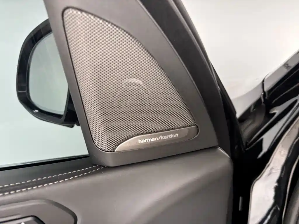 BMW X7 — миниатюра 10