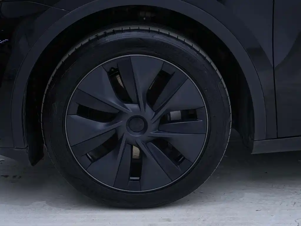 Tesla Model Y — миниатюра 12