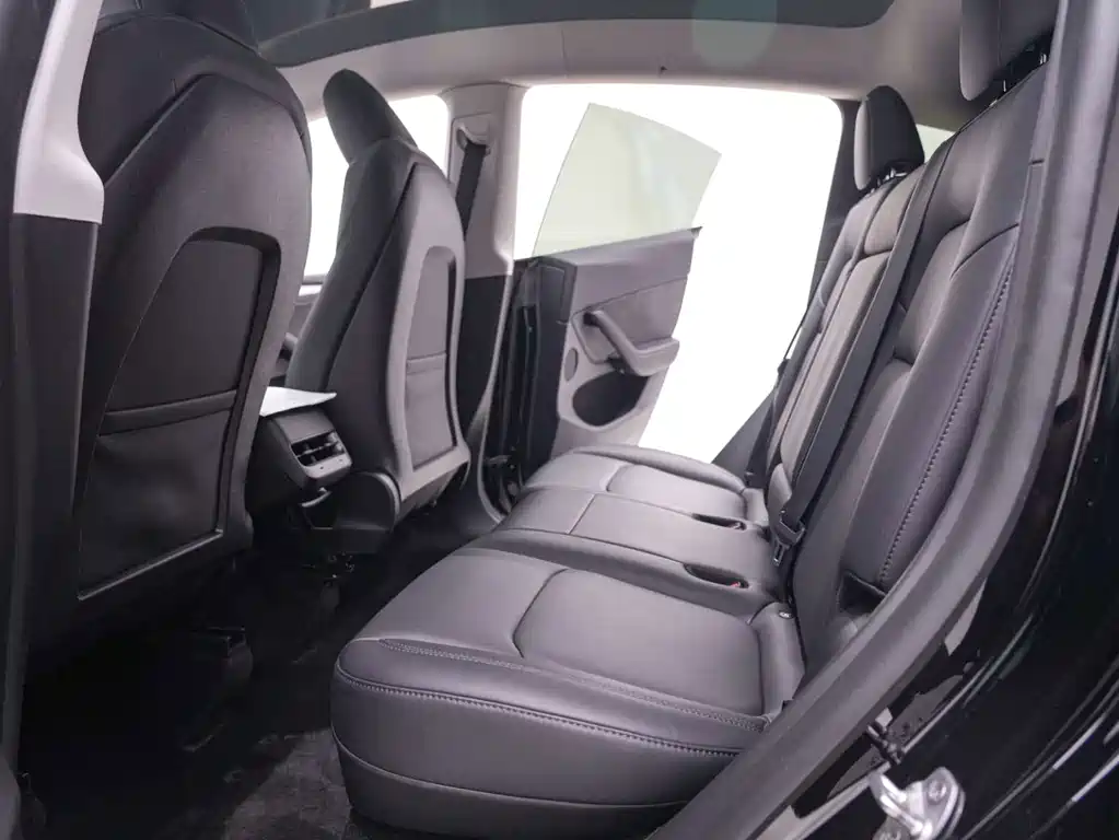 Tesla Model Y — миниатюра 22