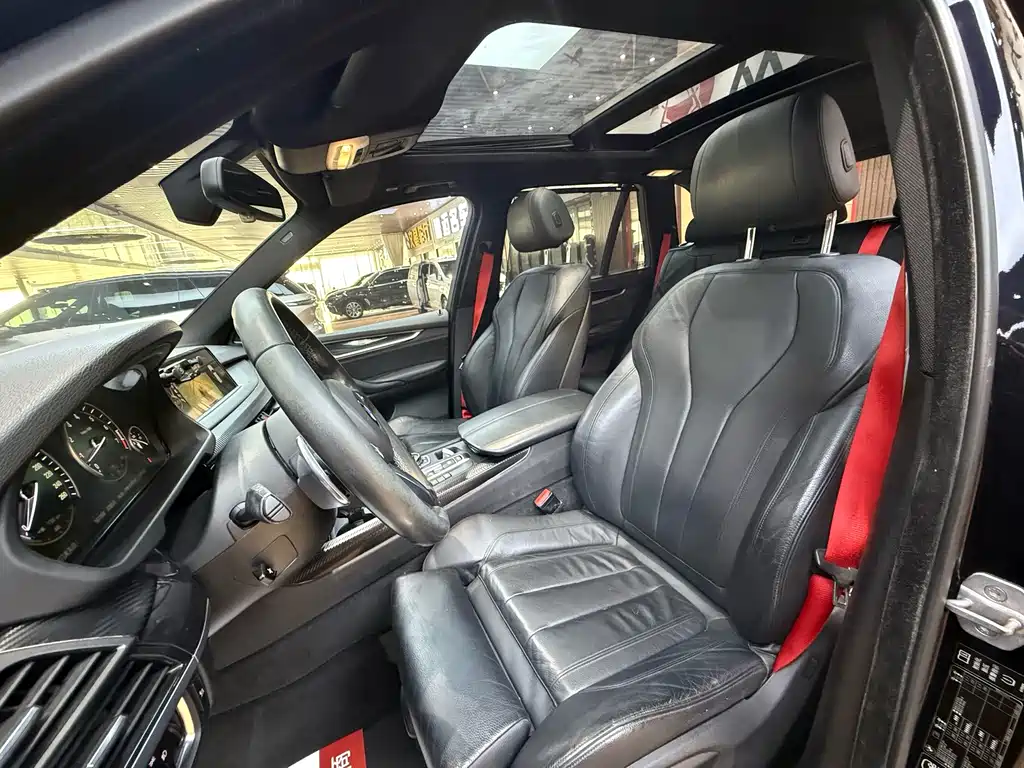 BMW X5 (Import) — миниатюра 19