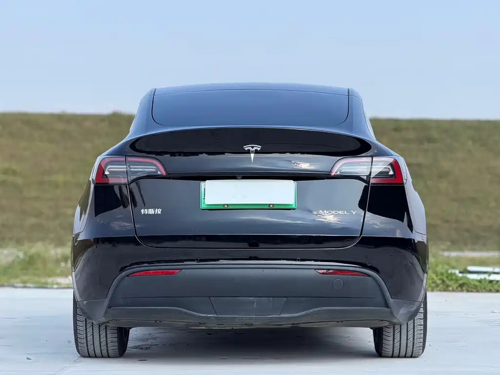 Tesla Model Y — миниатюра 7