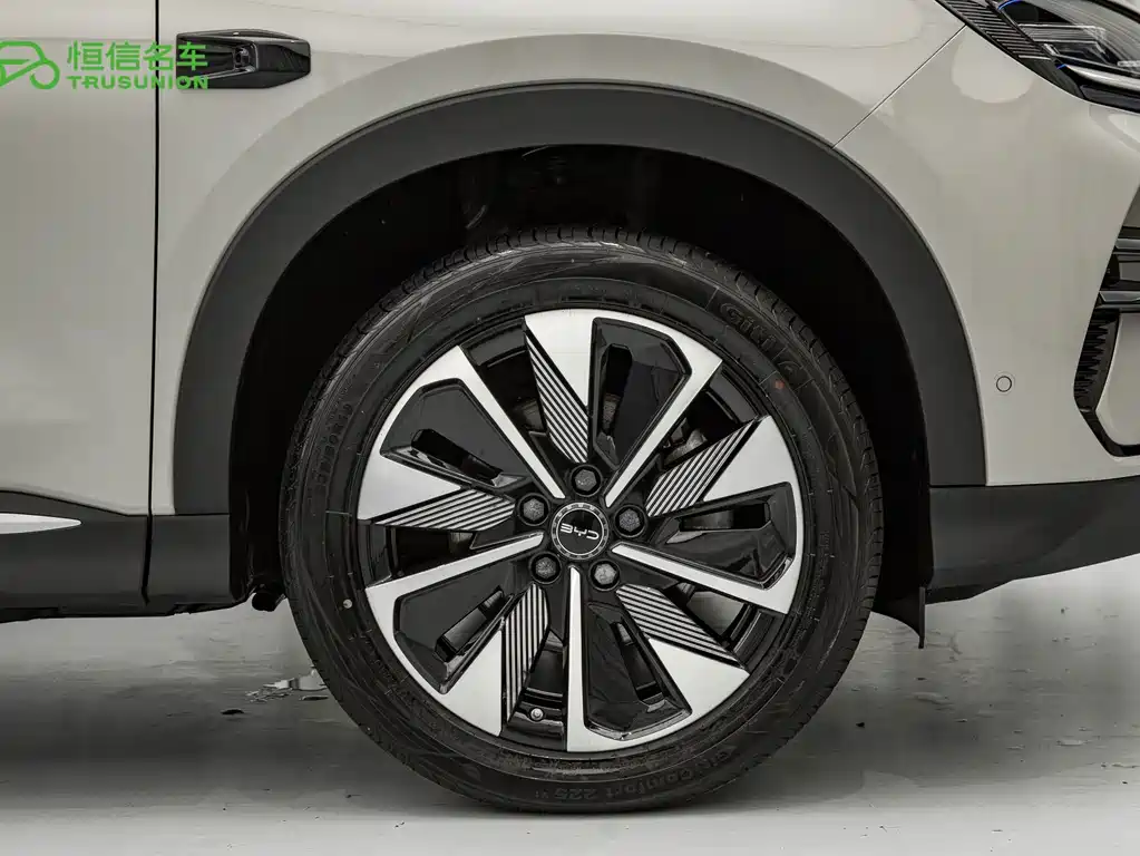 BYD PLUS New Energy — миниатюра 21