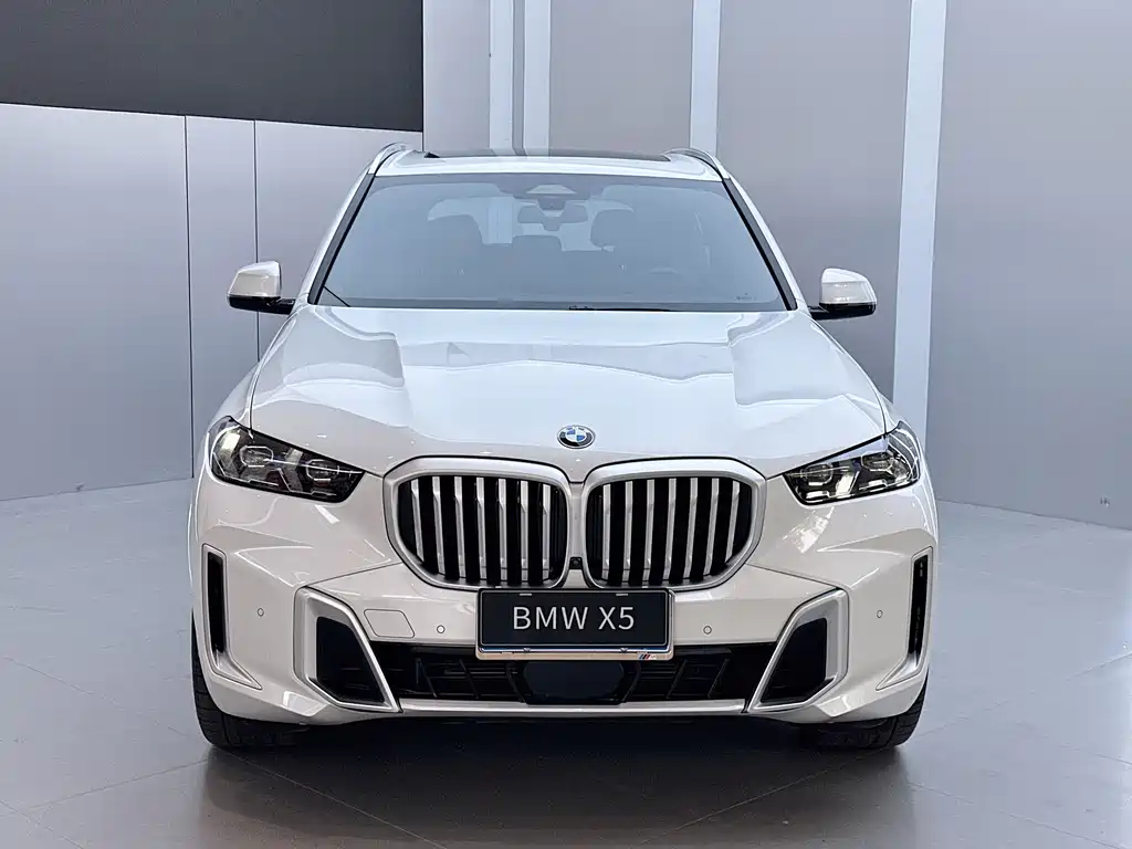 BMW X5 — миниатюра 2