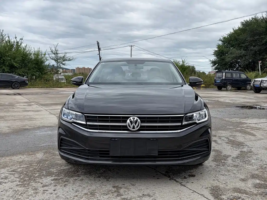 Volkswagen Bora — миниатюра 2
