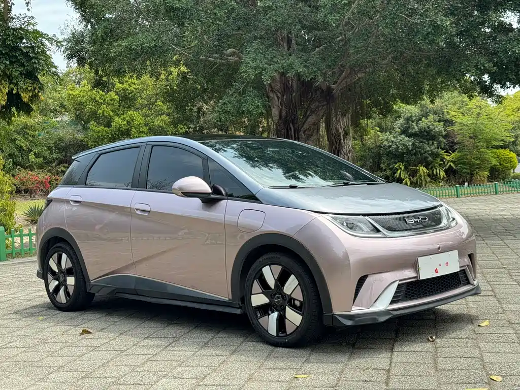 BYD Dolphin — миниатюра 3