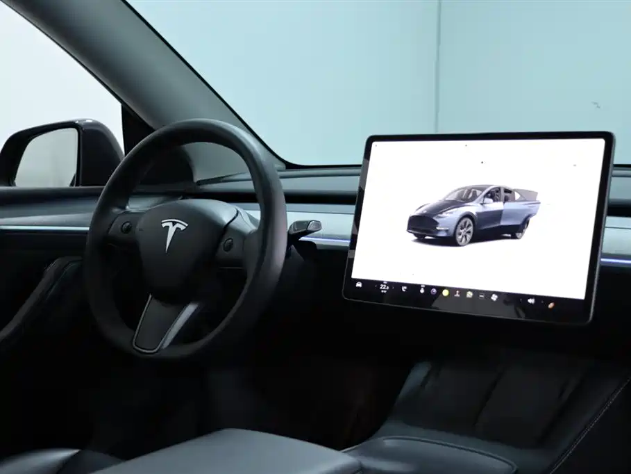 Tesla Model Y — миниатюра 10