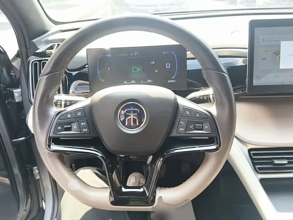 BYD Pro New Energy — миниатюра 11