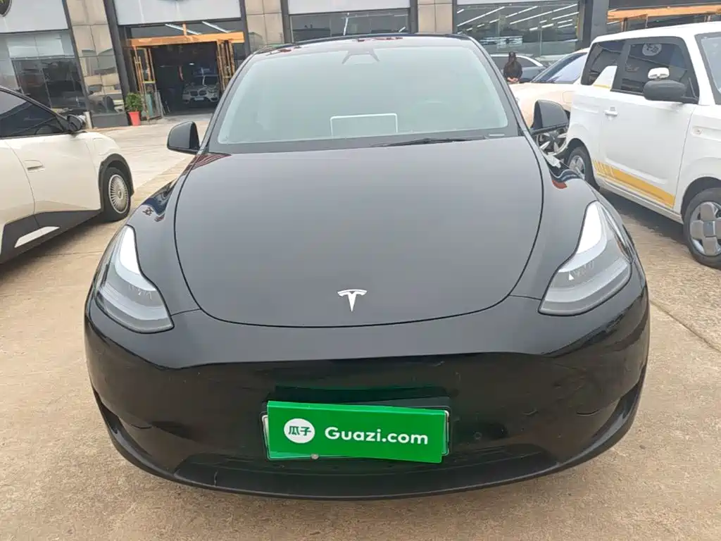 Tesla Model Y — миниатюра 3