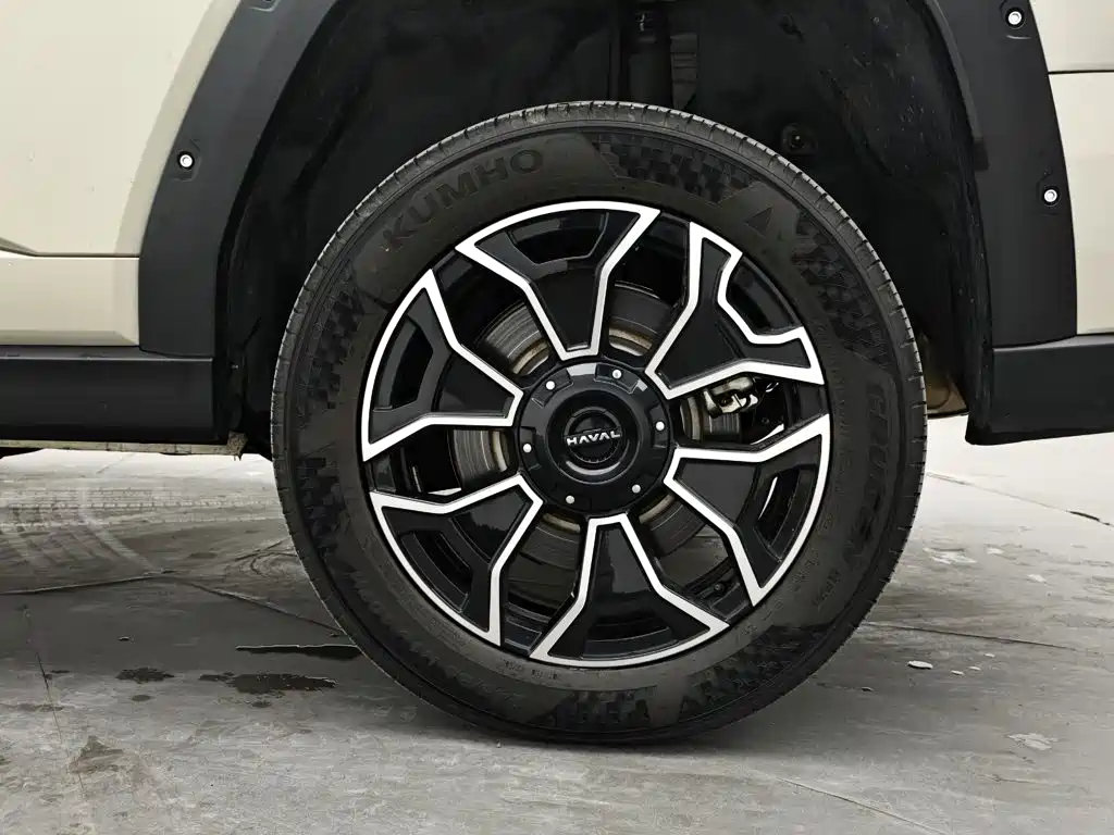 Haval Big Dog PLUS New Energy — миниатюра 9