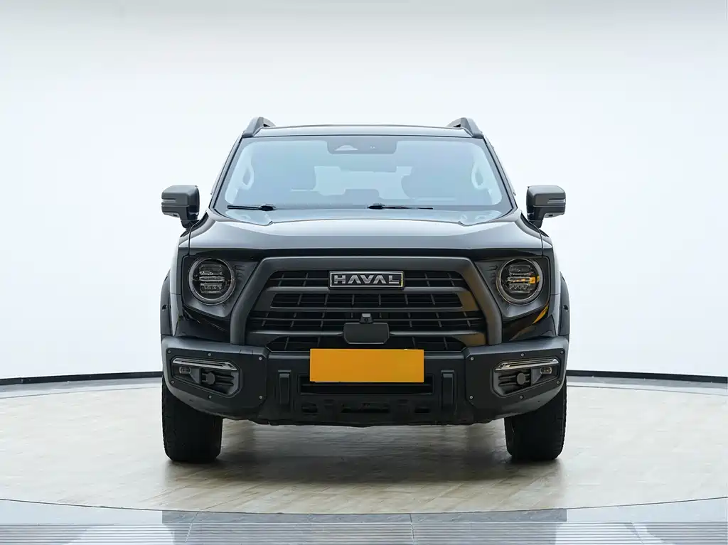 HAVAL BIG DOG