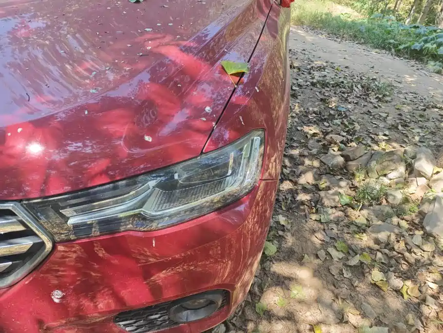 Haval H2s — миниатюра 5