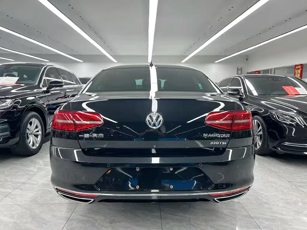 Volkswagen Magotan 2019 330TSI DSG Luxury V