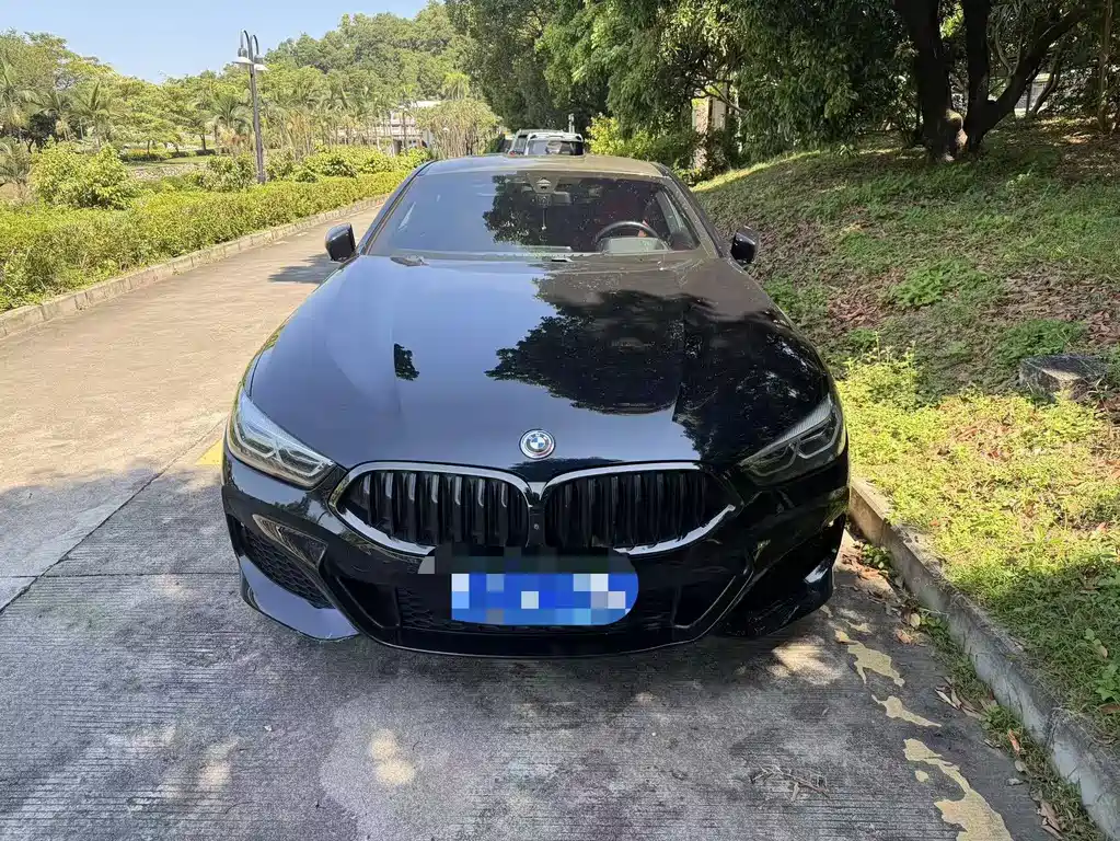 BMW 8 Series