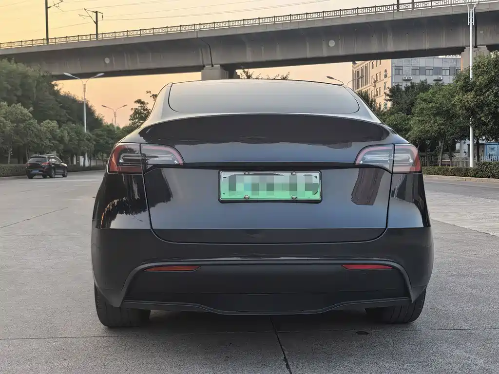 Tesla Model Y — миниатюра 8
