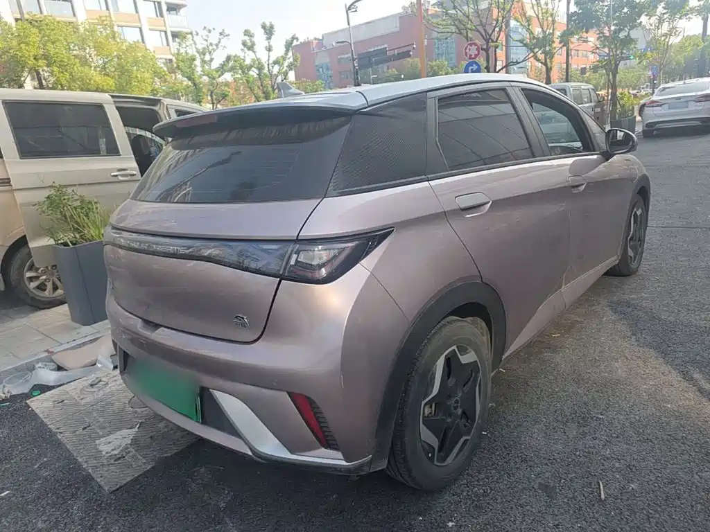 BYD Dolphin — миниатюра 7