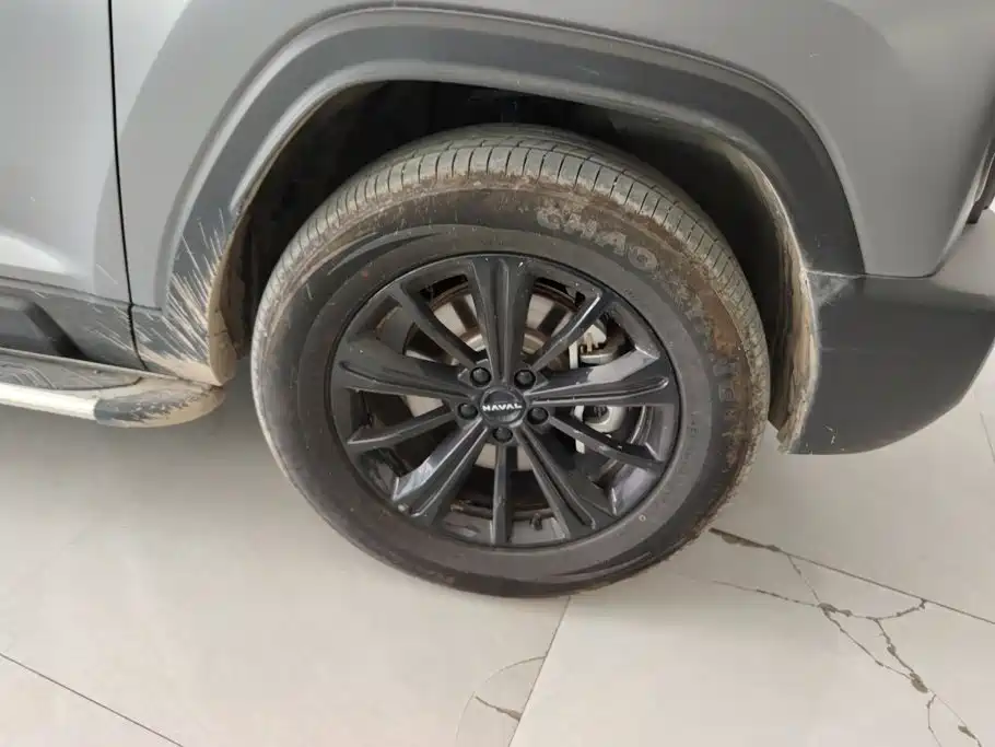 Haval Menglong New Energy — миниатюра 6